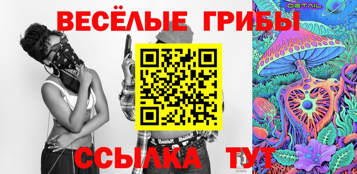 Псилоцибиновые грибы Psilocybe  Вход с VPN  что такое   Кудымкар  Псилоцибиновые грибы Cubensis 